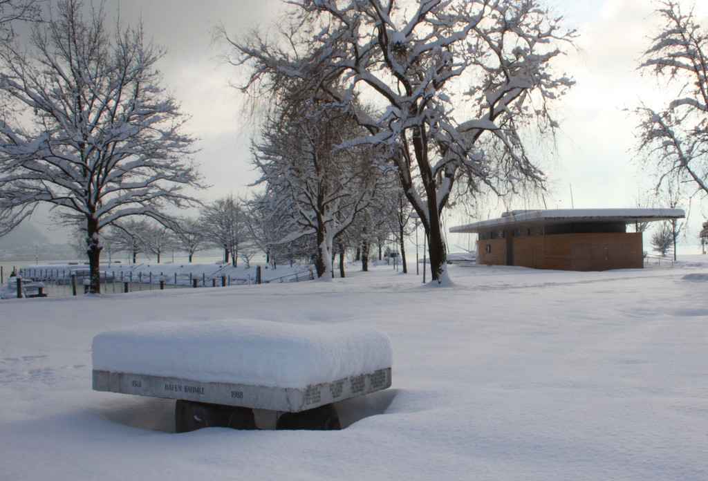 Winter Sonne 2013 _45__jpg-1360450335