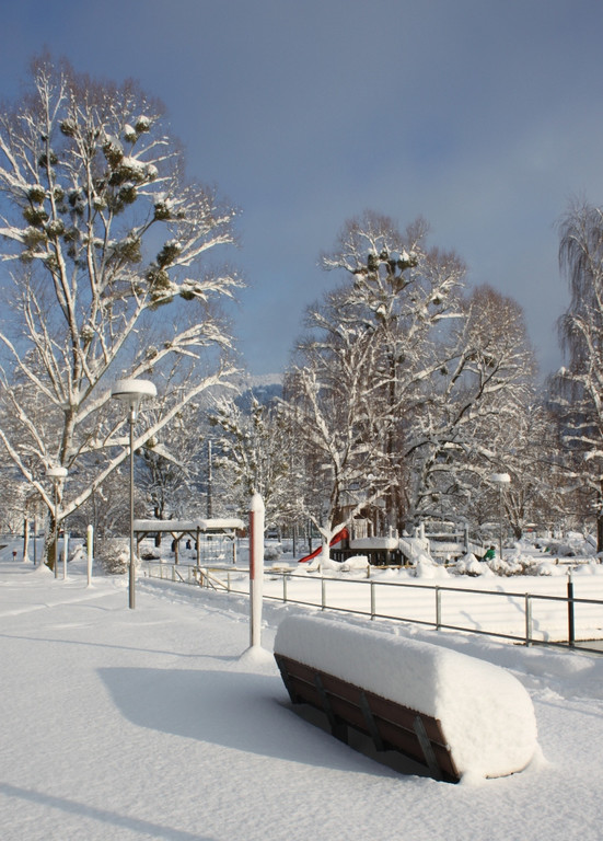 Winter Sonne 2013 _46__jpg-1360450339