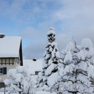 Winter Sonne 2013 _11__jpg-1360450177