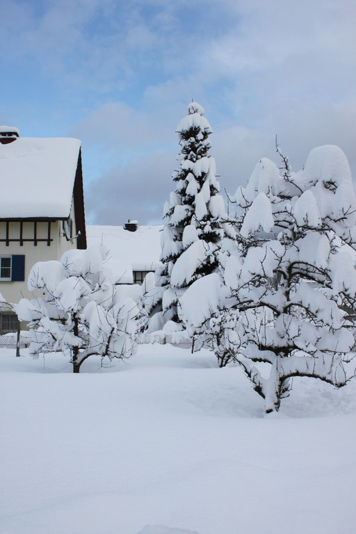Winter Sonne 2013 _11__jpg-1360450177