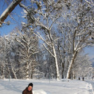 Winter Sonne 2013 _47__jpg-1360450346