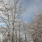 Winter Sonne 2013 _49__jpg-1360450359