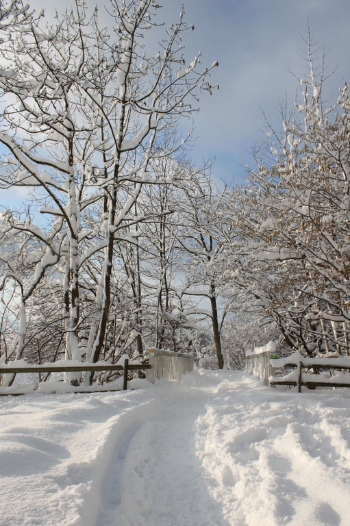 Winter Sonne 2013 _49__jpg-1360450359