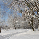 Winter Sonne 2013 _48__jpg-1360450353