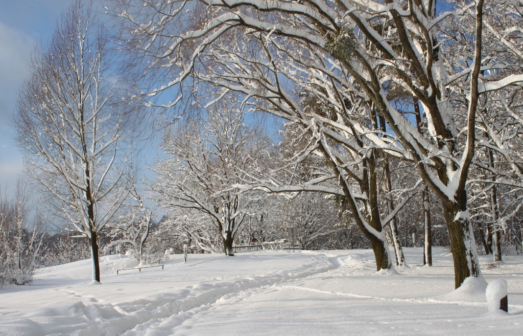 Winter Sonne 2013 _48__jpg-1360450353