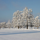 Winter Sonne 2013 _5__jpg-1360450149