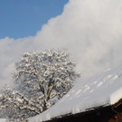 Winter Sonne 2013 _10__jpg-1360450173