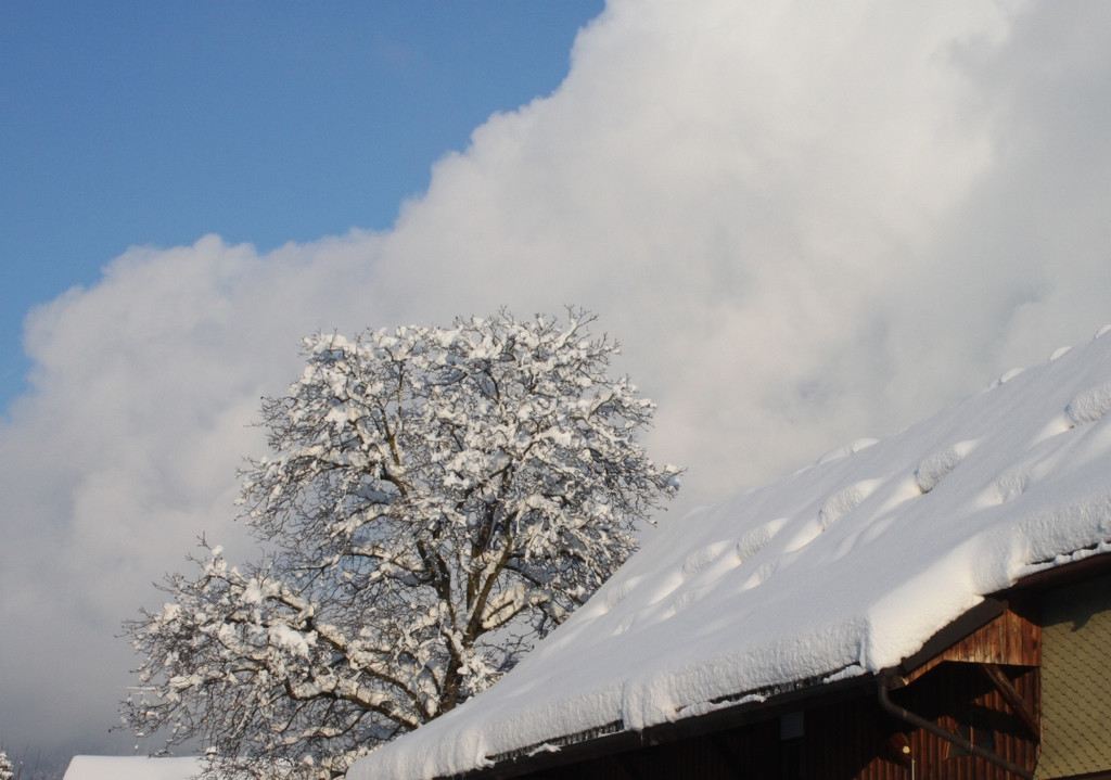 Winter Sonne 2013 _10__jpg-1360450173