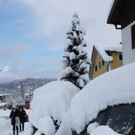 Winter Sonne 2013 _13__jpg-1360450184