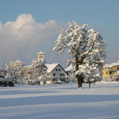Winter Sonne 2013 _8__jpg-1360450164