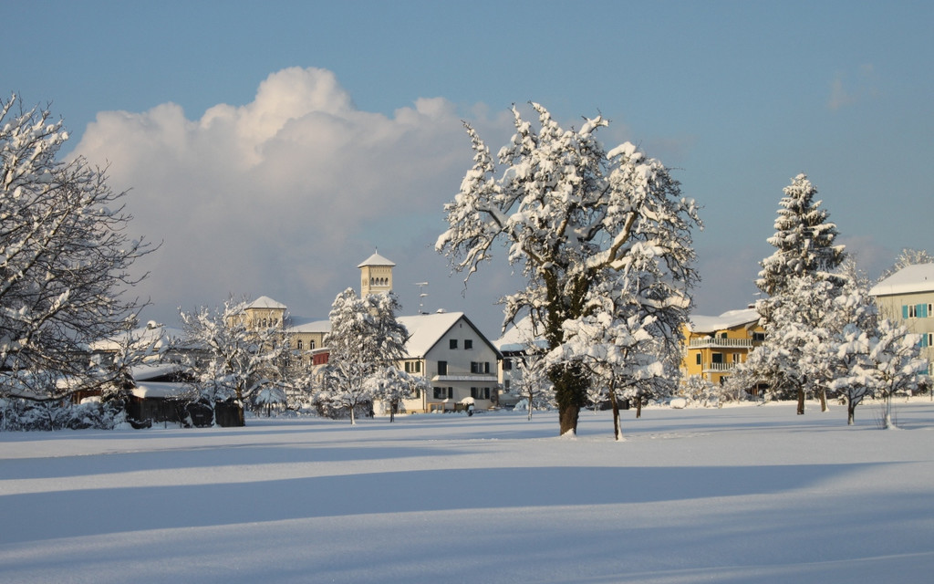 Winter Sonne 2013 _8__jpg-1360450164