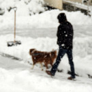 DSCN7432_JPG-1360452842