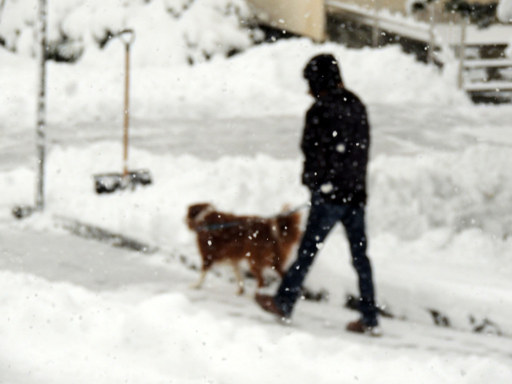 DSCN7432_JPG-1360452842