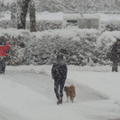 DSCN7434_JPG-1360452846