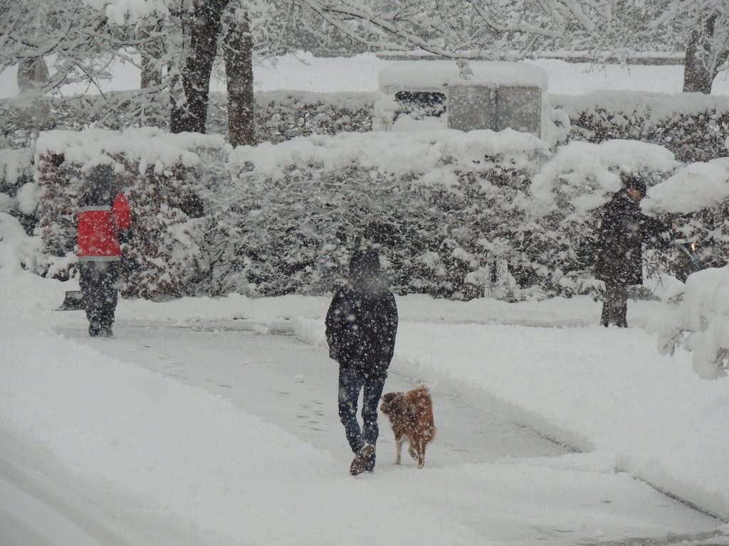 DSCN7434_JPG-1360452846