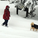 DSCN8269_JPG-1360453016