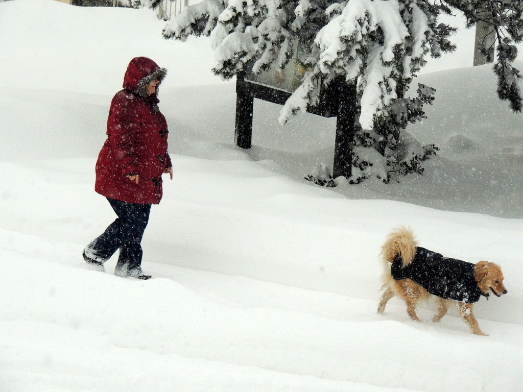 DSCN8269_JPG-1360453016