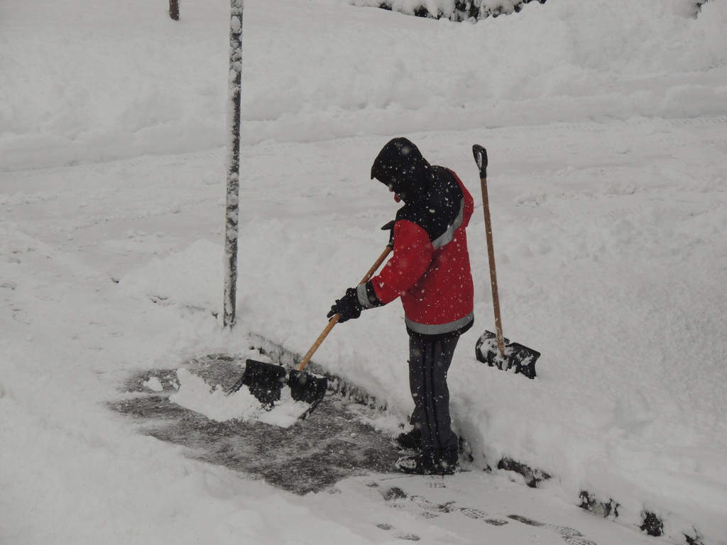 DSCN7404_JPG-1360452833