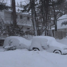 IBD0489-20130209.jpg