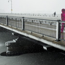 IBD1233-20130208.jpg