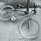 IBD1232-20130208.jpg
