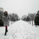 IBD1226-20130208.jpg