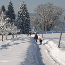 Weitere Bilder