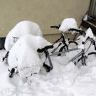 DSCN8316_JPG-1360493267