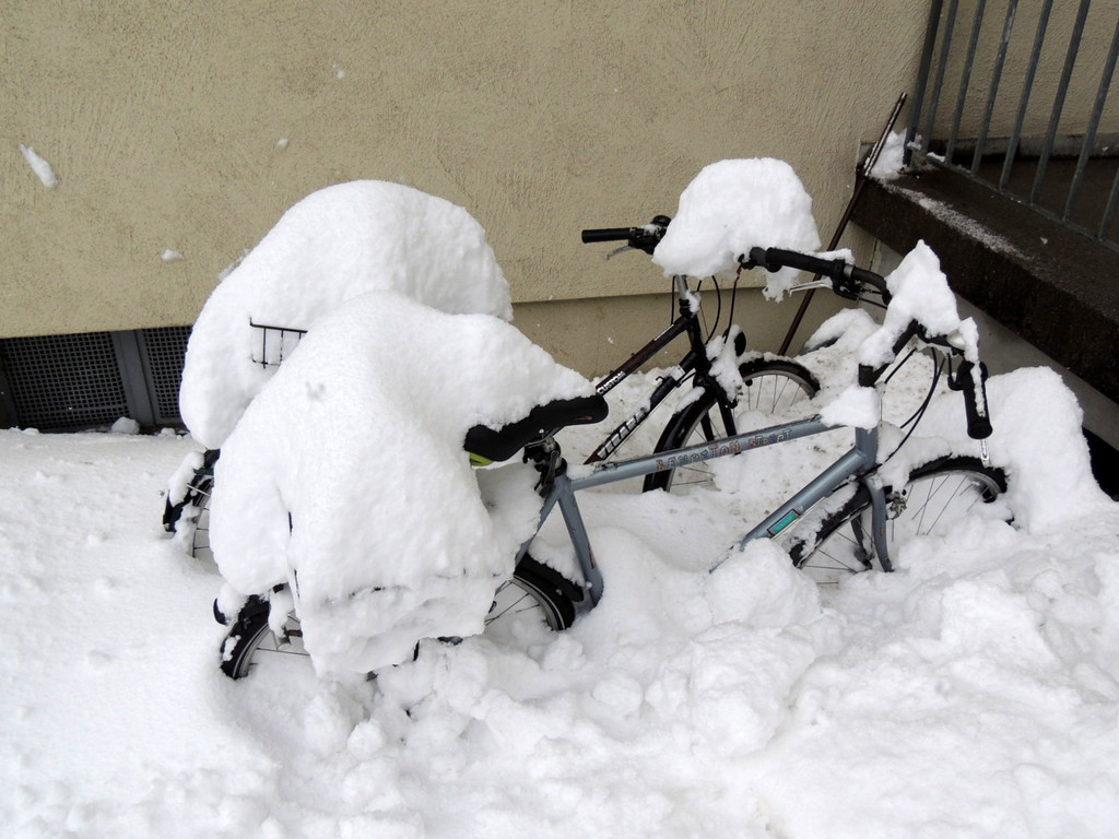 DSCN8316_JPG-1360493267