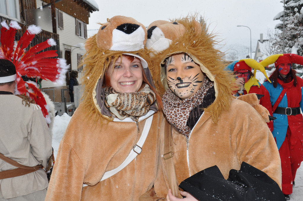 katzen_jpg-1360492612