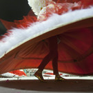 IBD0126-20130210.jpg