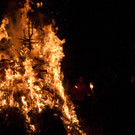20110312_0192_jpg-1360497702