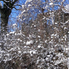 DSCN0121.JPG