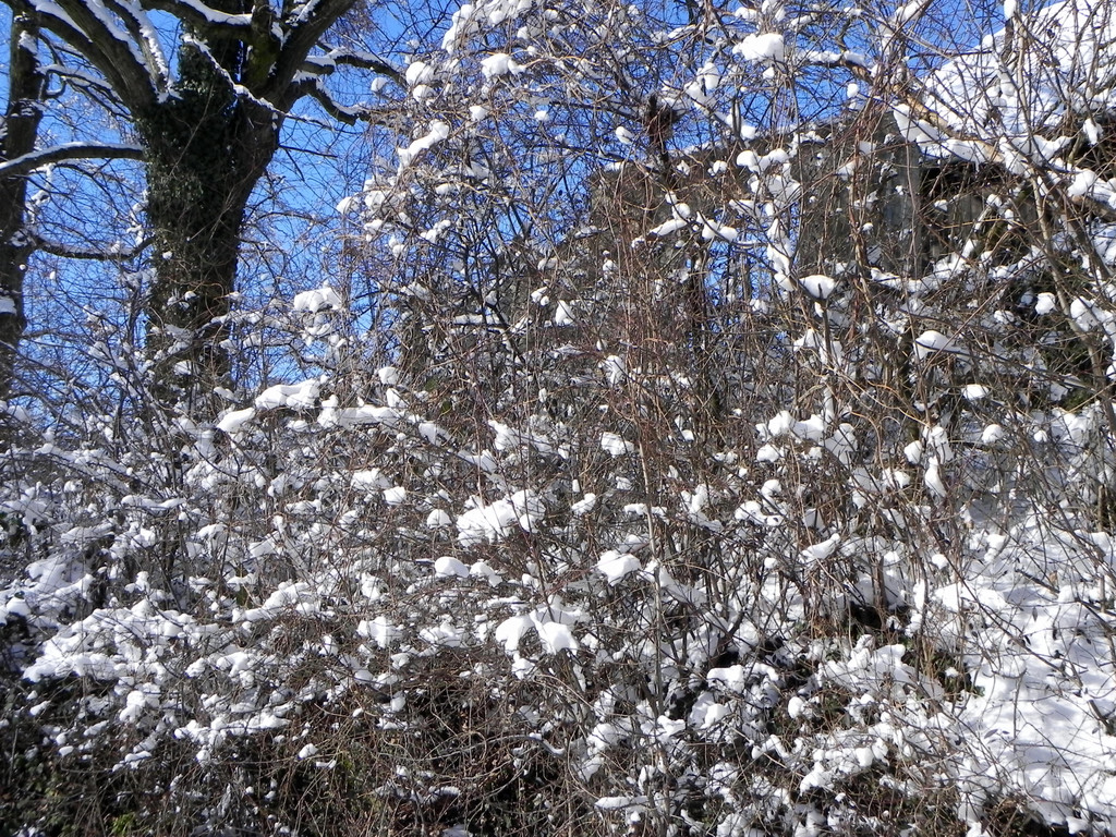 DSCN0121.JPG