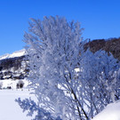 DSCN0124.JPG