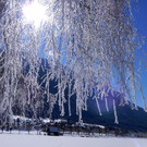 DSCN0130.JPG