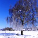 DSCN0131.JPG