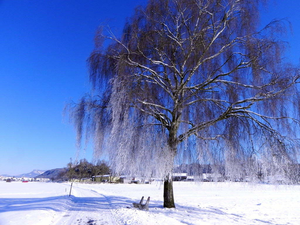 DSCN0131.JPG