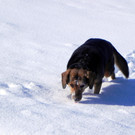 DSCN0133.JPG