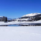 DSCN0138.JPG