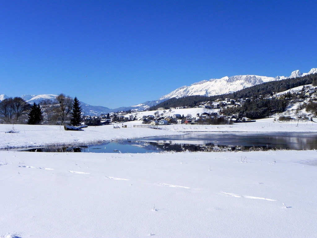 DSCN0138.JPG