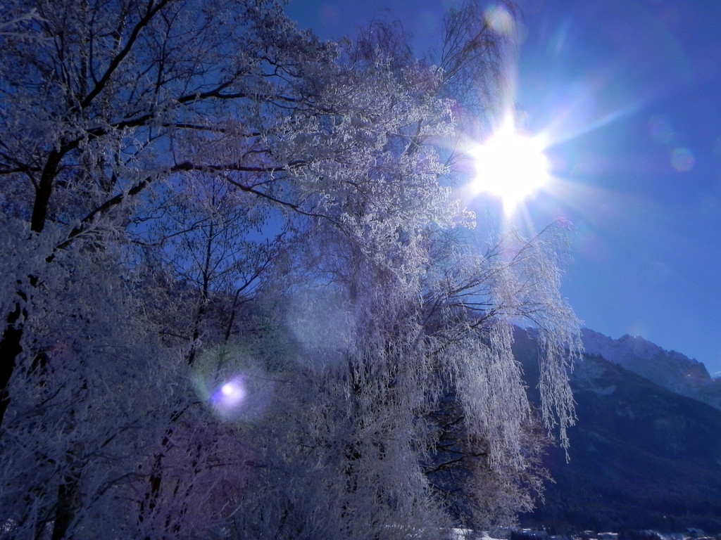 DSCN0143.JPG
