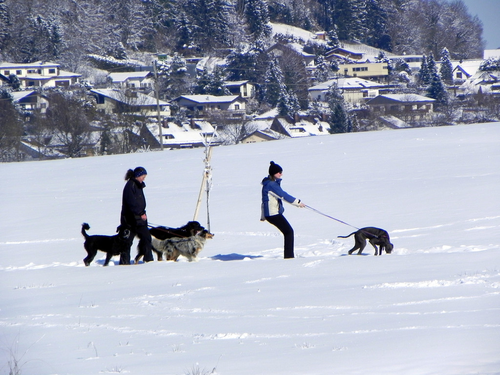 DSCN0145.JPG