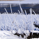 DSCN0146.JPG