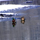 DSCN0148.JPG