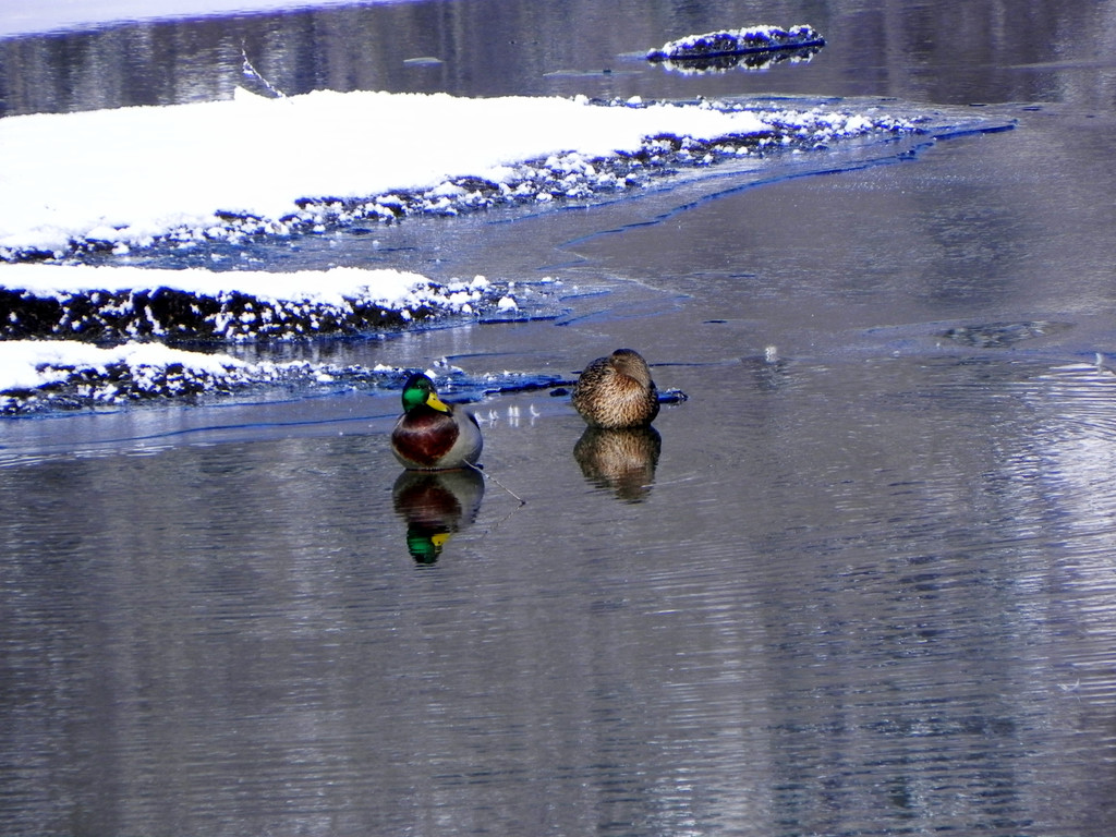DSCN0148.JPG