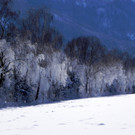 DSCN0149.JPG