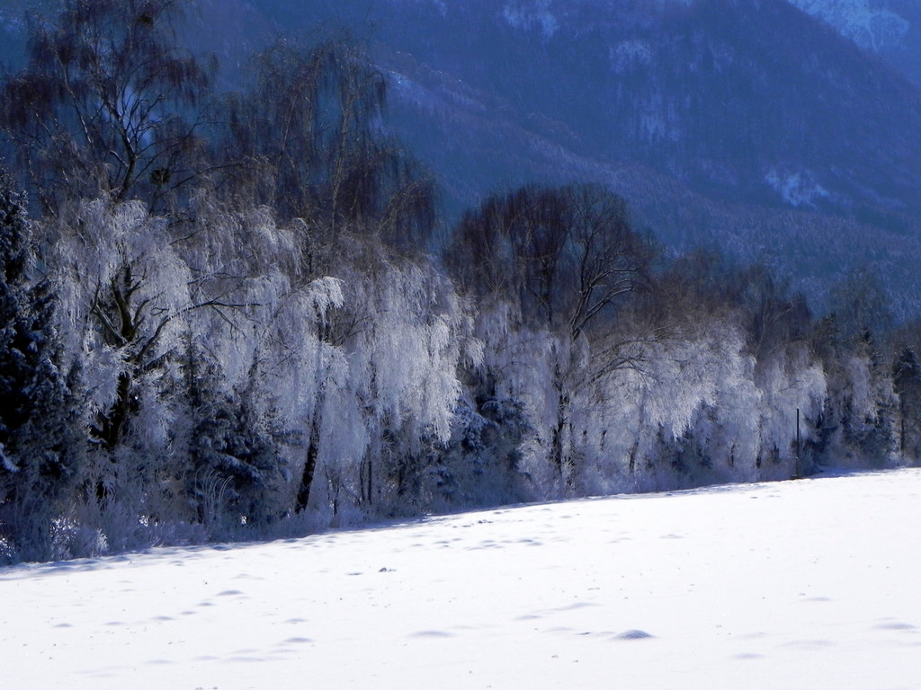 DSCN0149.JPG