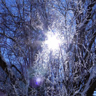 DSCN0157.JPG