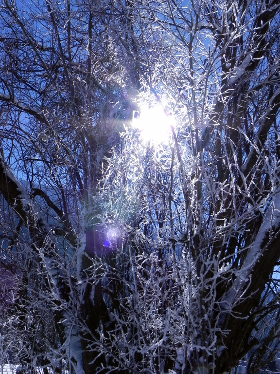 DSCN0157.JPG